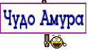 Чудо Амура