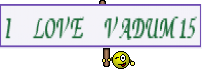 I LOVE VADUM15