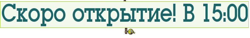 Скоро открытие! В 15:00
