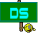 DS