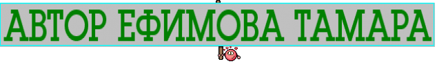 АВТОР ЕФИМОВА ТАМАРА