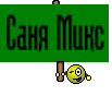 Саня Микс