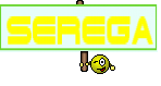 SEREGA