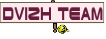 DvizH Team