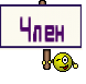 Член