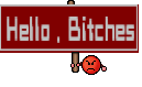 Hello , Bitches