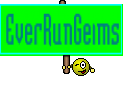EverRunGeims