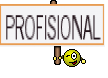PROFISIONAL