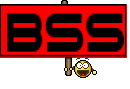 BSS