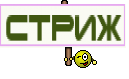 стриж