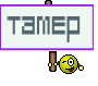 Тамер 