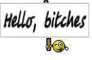Hello, bitches