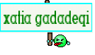 xatia gadadeqi