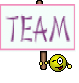 Team