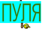 ПУЛЯ