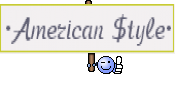 •American $tyle•