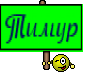 Тимур