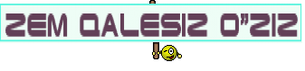 Zem QALESIZ O"ZIZ