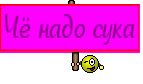 Чё надо сука