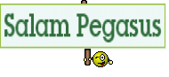 Salam Pegasus