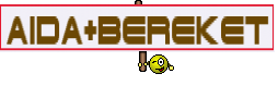 Aida+Bereket