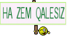 HA ZEM QALESIZ