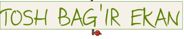 TOSH BAG'IR EKAN