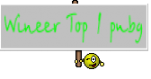 Wineer Top 1 pubg
